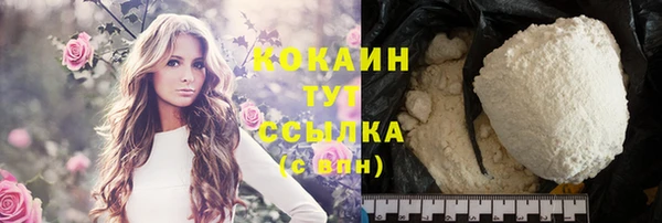 спиды Каменногорск