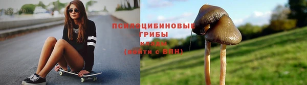 гашик Богородск