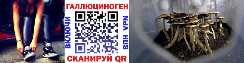 Псилоцибиновые грибы ЛСД Нолинск